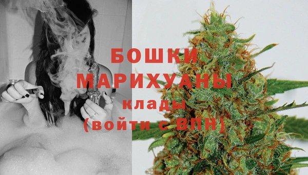 стаф Зеленокумск