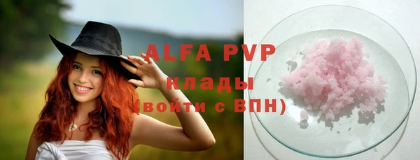 стаф Зеленокумск