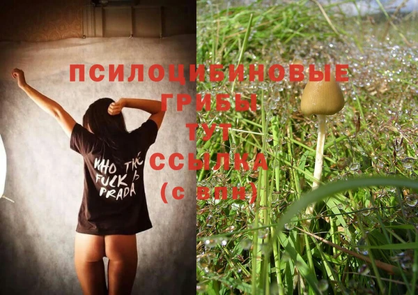 молекула духа Зерноград