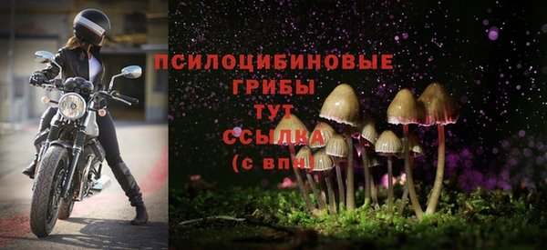 стаф Зеленокумск