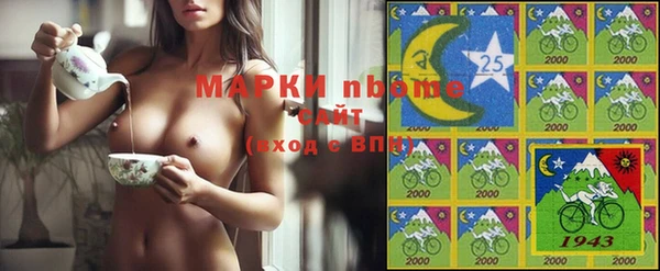 стаф Зеленокумск