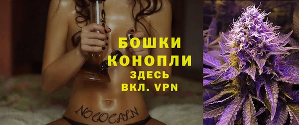стаф Зеленокумск