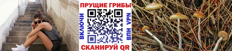 Галлюциногенные грибы Magic Shrooms  Купить  Киреевск 